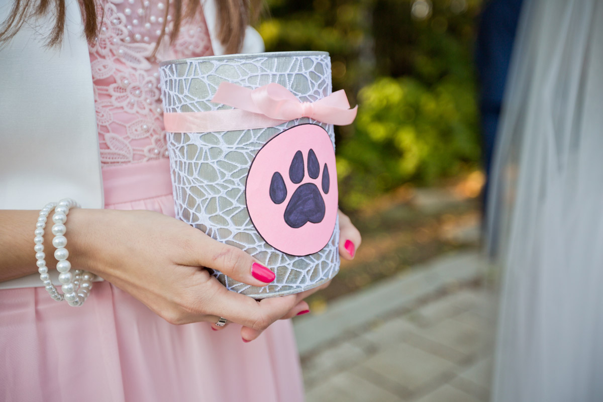 fotografia ślubna poznań