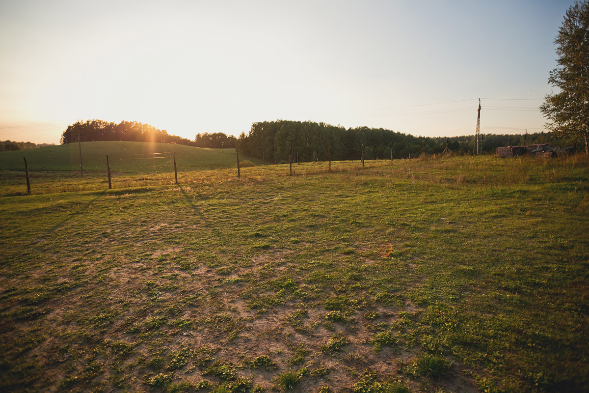 fotografia ślubna trójmiasto